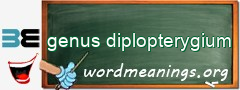WordMeaning blackboard for genus diplopterygium